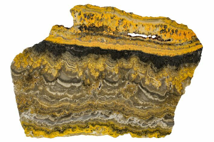 Polished Bumblebee Jasper Slab - Indonesia #336969